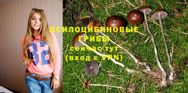 кокаин Дмитровск