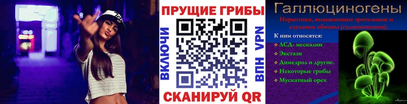 Галлюциногенные грибы Magic Shrooms  продажа наркотиков  Кисловодск 